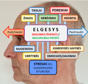 Kodėl aš taip elgiuosi Veiksniai veikiantys mūsų Situacijos vertinimą Mykolas Truncė.