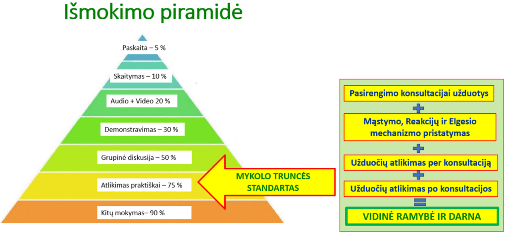 Psichologo Mykolo Truncės Konsultavimo standartas ir darbo principai - Išmokimo Piramidė